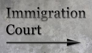 Defensa de Deportacion